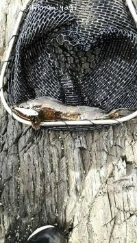 �����ʥ�