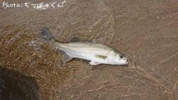 �����Х�