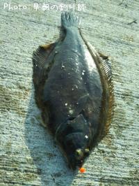 �ޥ����쥤