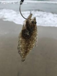 ¥Ò¥é¥á¤ÎÀÖ¤Á¤ã¤ó