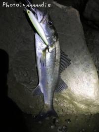 �����Х�