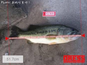 ¥é¡¼¥¸¥Þ¥¦¥¹¥Ð¥¹