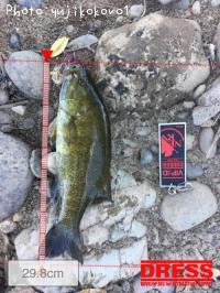 �֥�å��Х�