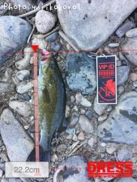 �֥�å��Х�