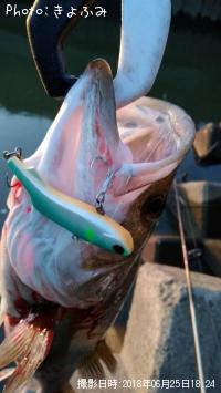 �����Х�