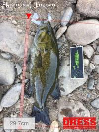 ¥Ö¥é¥Ã¥¯¥Ð¥¹