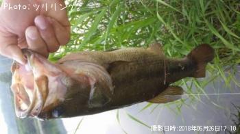 �֥�å��Х�