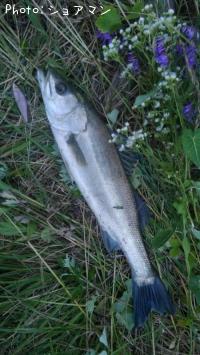 �����Х�