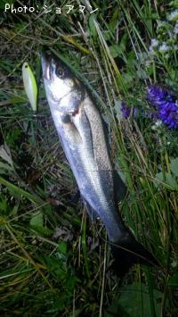 �����Х�