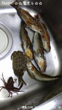 �����ʥ�