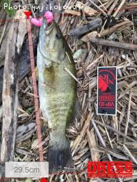 ¥Ö¥é¥Ã¥¯¥Ð¥¹