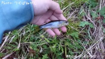 ��ޥ�