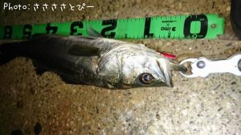 �����Х�