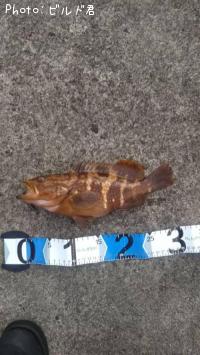 �����ϥ�