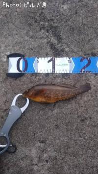 �����ʥ�