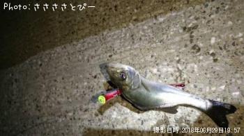 �����Х�