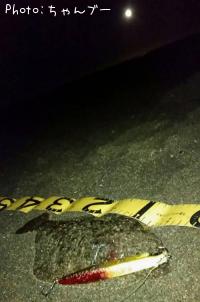 �ҥ��ʥ�����