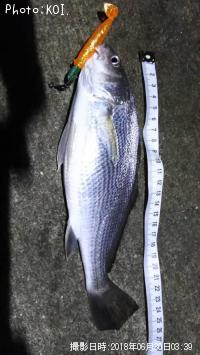 �������