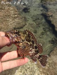 ������