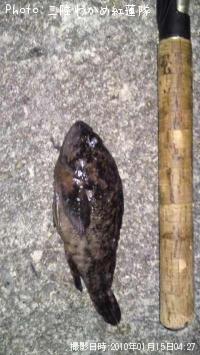 ²«¶â»ç¥½¥¤