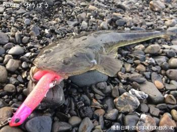 ¥Þ¥´¥Á