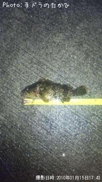 �����Υ���Х�