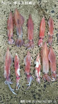 ¥±¥ó¥µ¥¥¤¥«