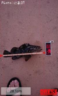 ¥¿¥±¥Î¥³¥á¥Ð¥ë