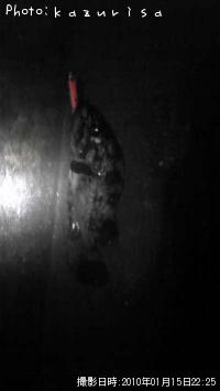 �����Х�