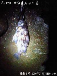 ��������Х롩