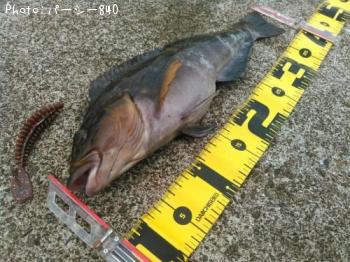 �����ʥ�