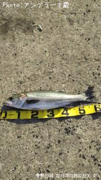 �����Х�