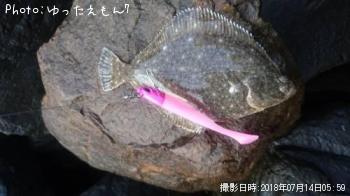 �����Ǥʤ����쥤