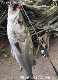 �����Х�