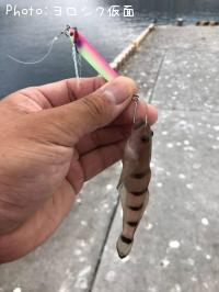 ��奦�����ϥ�