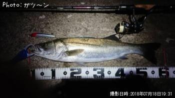 �����Х�