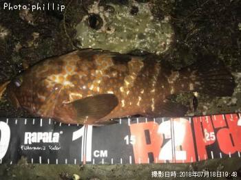 �����ϥ�