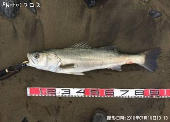 �����Х�