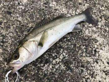 �����Х�