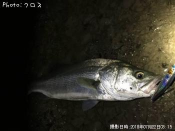 �����Х�