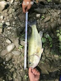 ¥Ö¥é¥Ã¥¯¥Ð¥¹