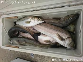 �����Х�