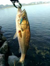 �����Х�