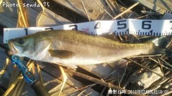 �����Х�