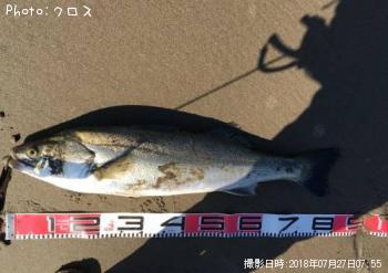 �����Х�