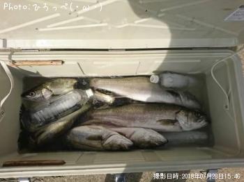 �����Х�