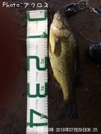 �顼���ޥ����Х�