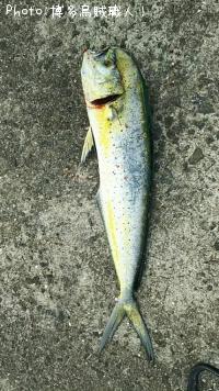 ������