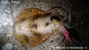 �����ꥤ��