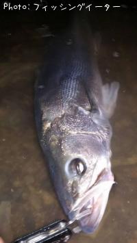 �����Х�